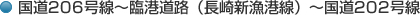 国道206号線～臨港道路（長崎新漁港線）～国道202号線