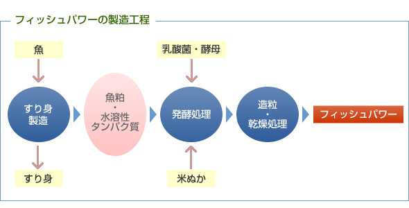 フィッシュパワー製造工程